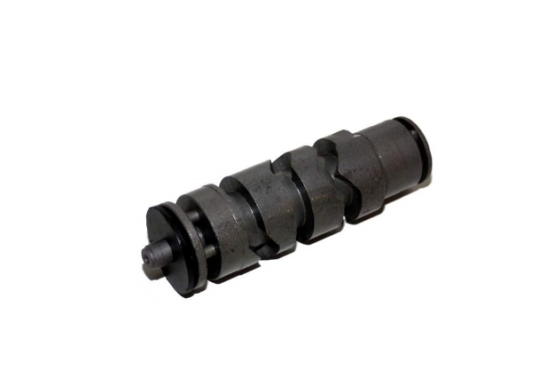 Bild von Kurvenwalze MZ TS250/1 ETZ250 ETZ251