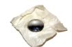 Bild von Tankdeckel S50 S51 KR51 SR50 SR80  -chrom