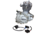 Bild von Motor Simson Schikra 125 -NEU